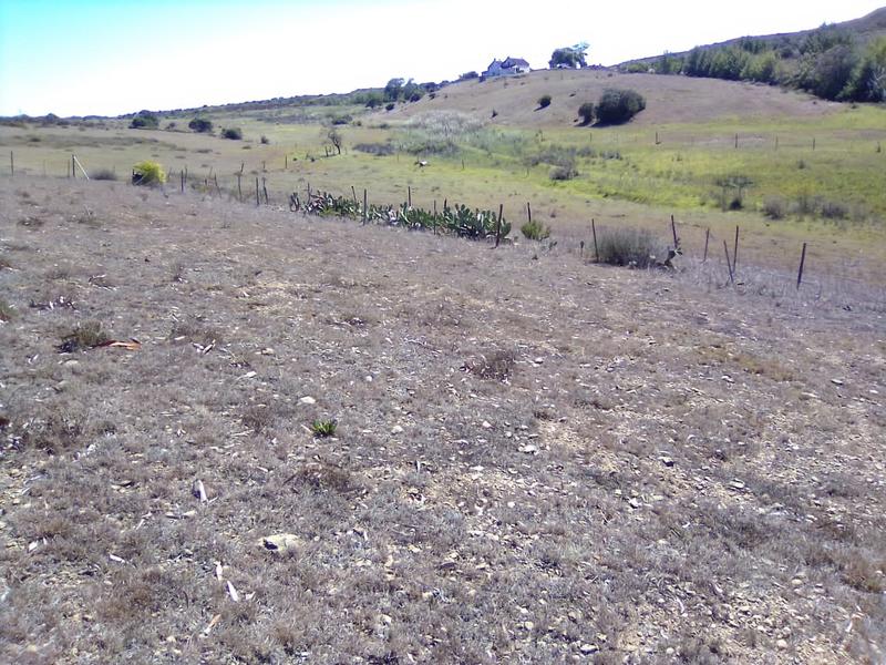 0 Bedroom Property for Sale in Stilbaai Rural Western Cape